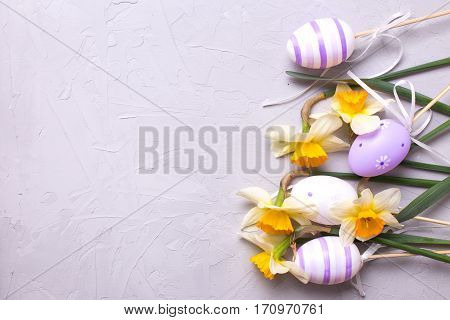 Easter background. Border from violet eggs and yellow daffodils or narcissus flowers on grey textured background. Selective focus. Place for text.