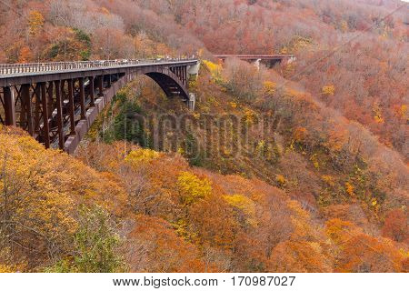 Jogakura Ohashi Bridge in autumn 