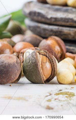Macadamia nuts harvest close up in shell