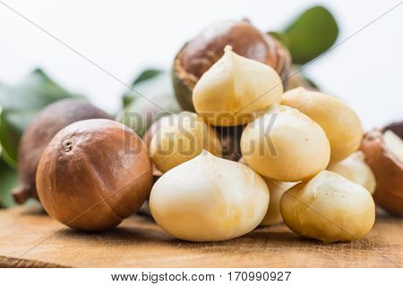Macadamia nuts harvest close up also in shell