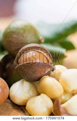 Macadamia expensive fat nuts harvest close up