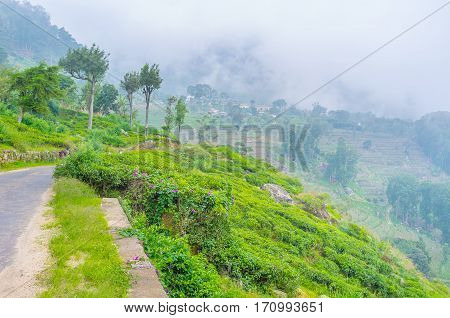 The Beautiful Landscape