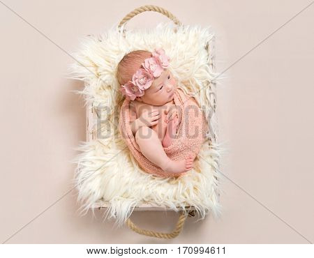 Lovely infant in a flowery hairband, wrapped with pink blanket, resting in a baset, topview