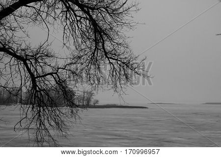 Embankment In Early Spring