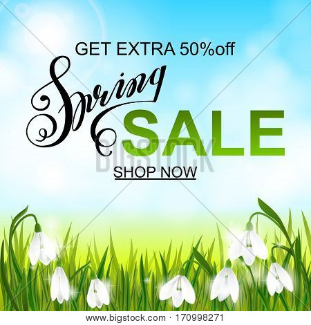 Spring sale banner, background with galanthus snowdrop flowers, green grass, lettering and blue sky. Seasonal discount