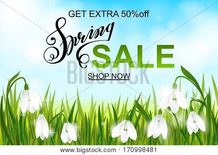 Spring sale banner, background with galanthus snowdrop flowers, green grass,  lettering and blue sky. Seasonal discount