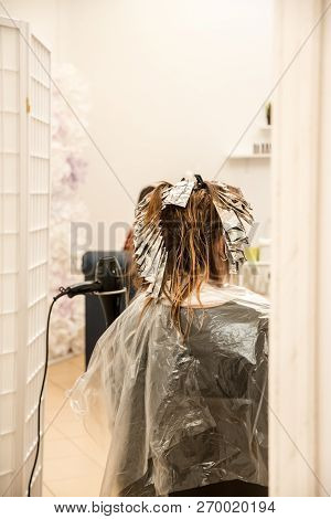 Professional Hair Stylist Cutting Hair Of Female Client. Master Stylist Applying Hair Color And High