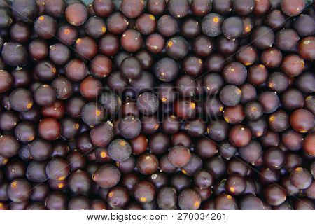 European Nettle Tree Or Honeyberry Fruits Texture Backgound