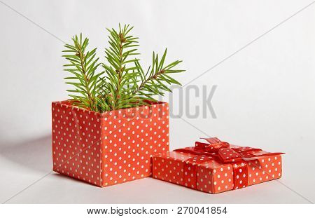 Gift Red Box In White Polka Dots With Bow Branches Christmas Tree Gifts Toy Ball On White Background