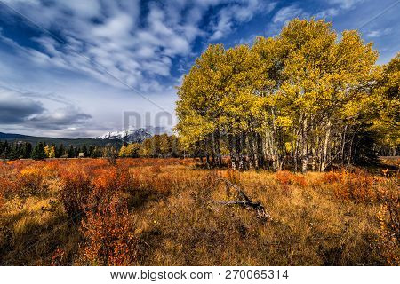 Banff National Park