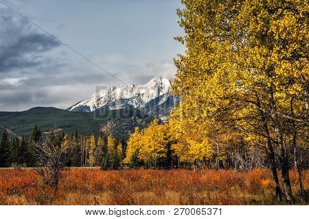 Banff National Park