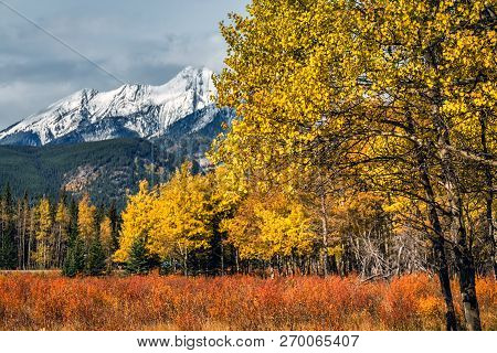 Banff National Park