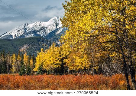 Banff National Park