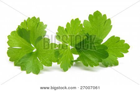 Persille blade