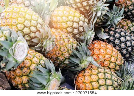 Fresh Pineapple Background / Pile Of Pineapple Tropical Fruit In The Market - Ripe Of Group Yellow P