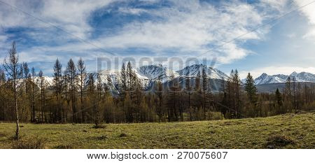 Kurai Steppe And Its Surrounding Mountains With Snowy Peaks, Altai, Russia