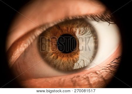 The Deep Brown Close Up Eye Of The Girl Is Looking Forward