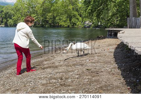 Lugano, Switzerland - May 12, 2018: An Unidentified Woman Is Feeding A Lebel On The Shore Of Lake Lu