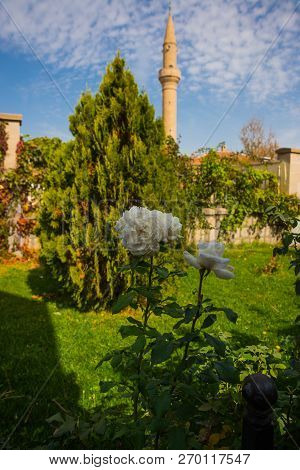 Cappadocia, Turkey: Mosque Minaret On The Background Of White Rose Flowers