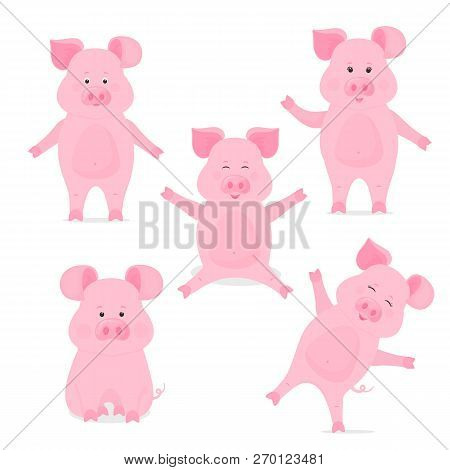A Set Of Cute Piggy Cartoon Characters In Different Poses, Sitting, Standing, Hand Up And Down. Funn