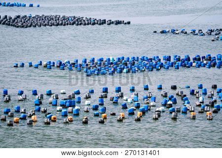 The Shellfish Farm Is Made Of Residual Plastic Tank With Rope Under The Sea