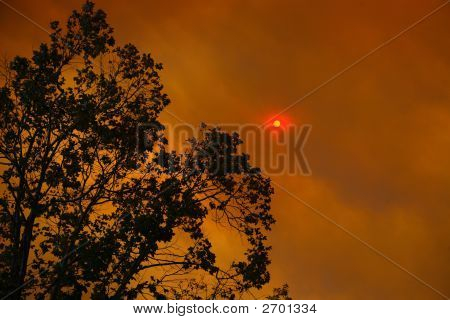 Feuer
