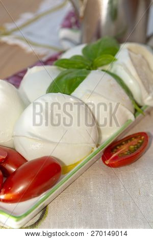 Fresh Soft Italian White Cheese Mozzarella Buffalo, Original From Campania, Paestrum And Foggia Regi