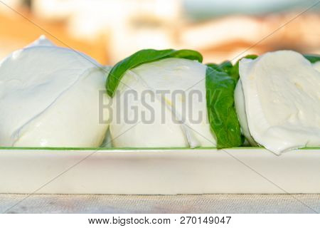 Fresh Soft Italian White Cheese Mozzarella Buffalo, Original From Campania, Paestrum And Foggia Regi