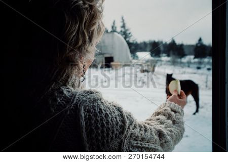 Wild Mountain Farm , Canning , Nova Scotia / Canada - Dec 31 2017 : Woman Playing And Feeding A Hors