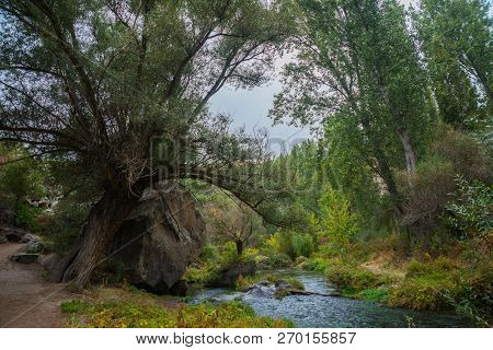 Travel To Turkey - Green Trees In Old Gorge Of Ihlara Valley In Aksaray Province In Cappadocia In Sp