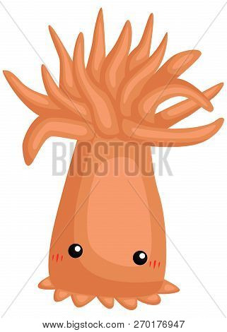 A Vector Of A Cute Sea Anemone