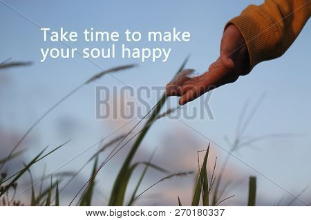 Inspirational Motivational Uote-take Time To Make Your Soul Happy. A Girl Fingers Touch The Grass Fl
