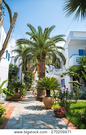 Cityscape - View On A Narrow Street In Greece With White Houses And A Lot Of Greenary.