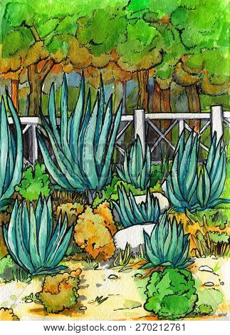 Cactus Bush Sand Trees Pines Hand Drawing