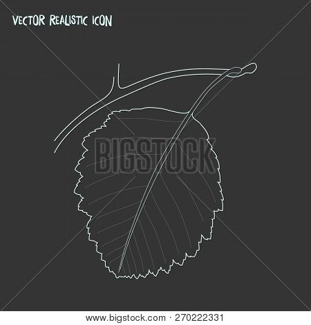 Brazilwood Icon Line Element.  Illustration Of Brazilwood Icon Line Isolated On Clean Background For