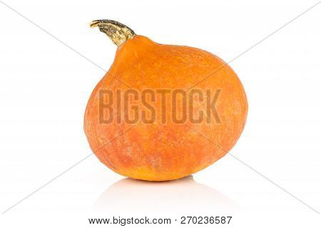 One Whole Teardrop Shaped Fresh Red Kuri Pumpkin Hokkaido Variety Isolated On White Background