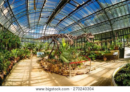 Palermo, Sicily, Italy - August 15, 2018: Main Building Inside Botanical Garden With The Famous Skel