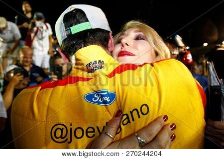 November 18, 2018 - Homestead, Florida, USA: Joey Logano (22) celebrates after winning the Monster Energy NASCAR Cup Series Championship after winning the Ford 400 at Homestead-Miami Speedway 
