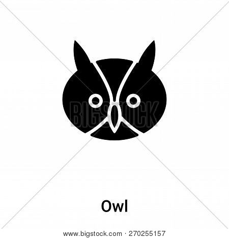 Owl Icon Vector Isolated On White Background, Logo Concept Of Ow