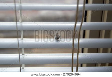 Dust On Open White Window Blinds Reatment