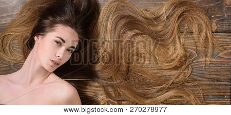 Long Healthy Hair. Beauty Girl With Long Hair. Beauty Hair Salon. Fashion Haircut. Trendy Haircuts