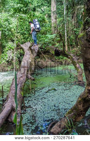 Madidi, Bolivia - May 8, 2105: Native Tour Guide In A Jungle Of Madidi National Park, Bolivia