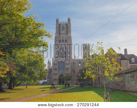 Ely Cathedral In Ely