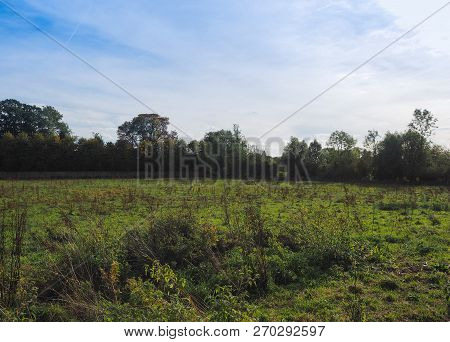 Grantchester Meadows In Cambridge