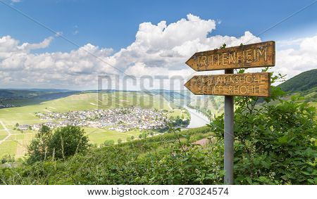 Trittenheim On The Moselle Rhineland-palatinate Germany Picture