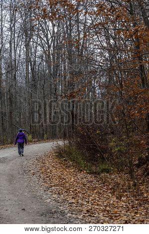 Having A Late Fall Walk Along This Quiet Country Road