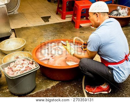 Seoul, South Korea - June 26, 2017: Market Worker Cleans Squids In Gwangjang Market Seoul.