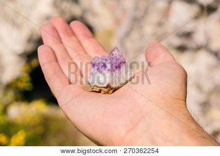 Druse Of Natural Untreated Violet Crystals Of Amethyst On A Piece Of Rock Lies On The Palm Of Your H