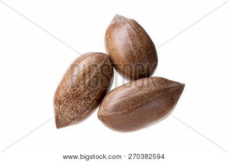 Pecan Nuts Isolated On White Background. Carya Illinoinensis