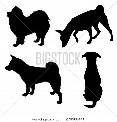 Vector Dog Illustrations. Set Of Black Silhouettes. Different Breeds Of Dogs.